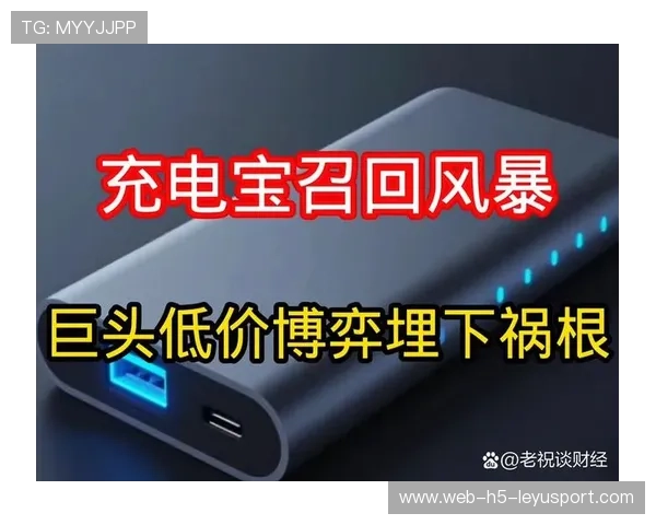 涉及罗马仕、小米、安克,召回充电宝名单公布,罗马仕 小米 充电宝 涉及罗马仕、小米、安克,召回充电宝名单公布,罗马仕 小米 充电宝